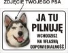 Tablica ze zdjęciem pupila